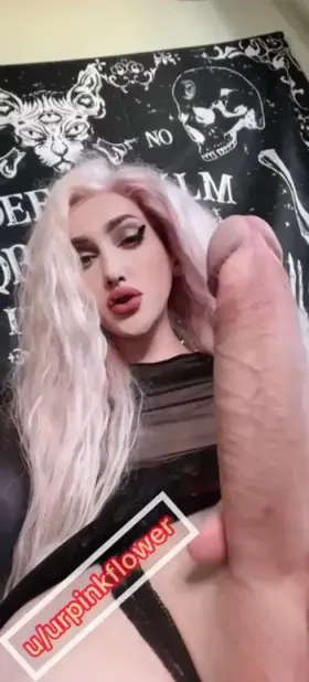 Show me your cocksucking skills