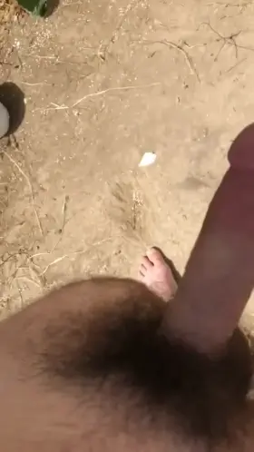 A Hard Cock, Hairy Balls and Some Sun