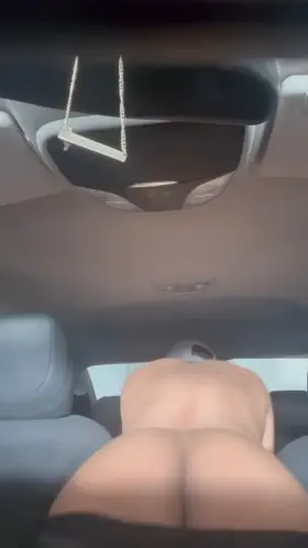 Looking for my books