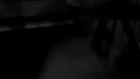 First time post... more to cum?