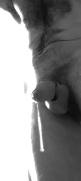 Cock GIF by hairyshowy