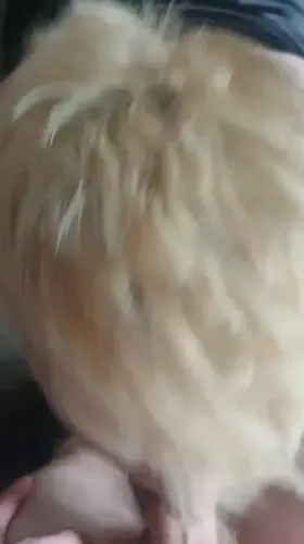 straight curious dude [op] couldn't handle this gay head at all