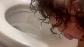 Such a good toilet pig