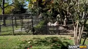 Swinger girl chilling at a park