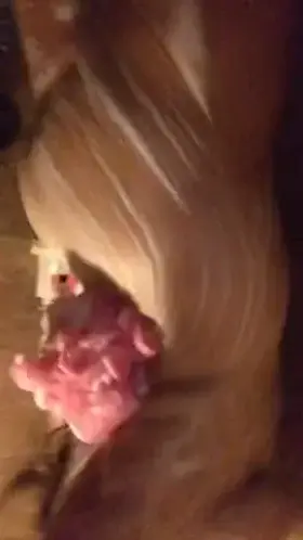 What would you guys do to her? My cock isn’t big enough..