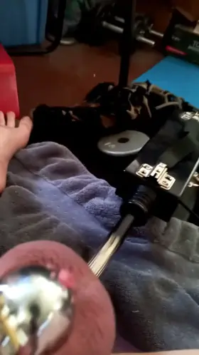 Anal GIF by drippysteel