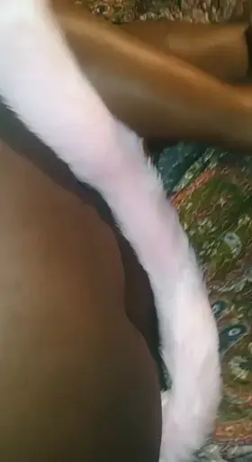 Soaked kitten is soaked