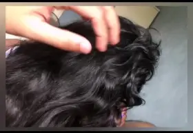 It's the hair stroking and laughing at all my bad jokes, for me 🥰 (sound link in comments)