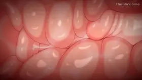 Lisa and Aether (theobrobine) [genshin impact]