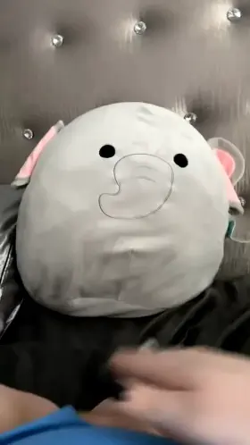 women were meant to have there holes like mine degraded