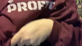 Short & sweet 💁🏻‍♀️