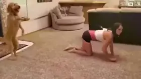 Not my proudest boner