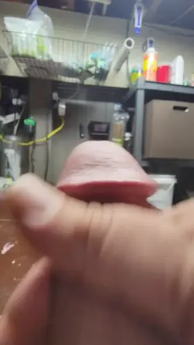 [35] you should let me send you home full and leaking this Halloween