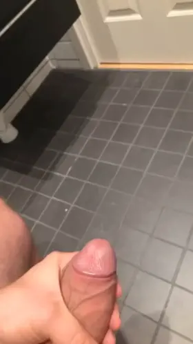 [45] Happy new year to you all. Heres a more moderate load for thoose Who dont like the bigger loads 😉