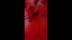 Bae giving me that good head