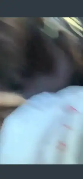 Sucking dick in the car with my ass out 🍑