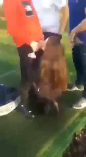 Sucking off the boys