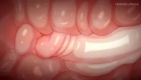 Lisa and Aether ,final scene (theobrobine) [genshin impact]