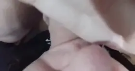 Since you liked the last one!