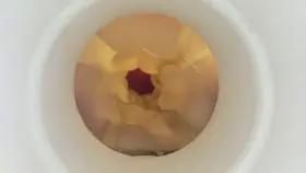 Close Up Cu(M)shot in Fleshlight (OC)