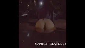 Catch a peek of my fat cat