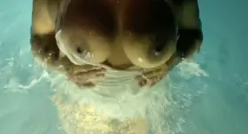 would you fuck me in the pool?