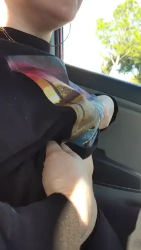 Tits make traffic almost bearable