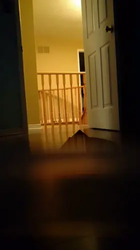 Hot slut showing off her ass