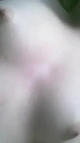 ready to have my asshole pounded and used🙈