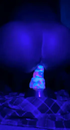 I love Vector in uv light