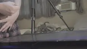 This cumshot would look a lot better on someone!