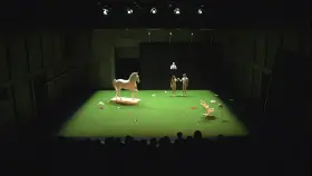 Jumping naked on stage