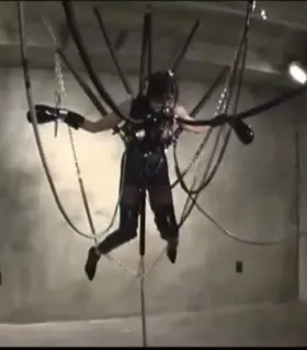 When she’d asked to be “put on display” I’m not sure this is exactly what she’d imagined...