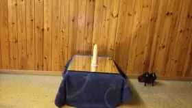 ATM In Chastity Porn GIF by redditporn79 | RedGIFs