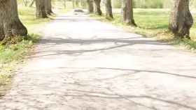 No Panties Under The Shorts