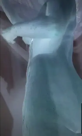 So Thankful For Her Age Defying SEXY Self. 51 Years young. 100% all natural and yes she has had children. (Original Content)