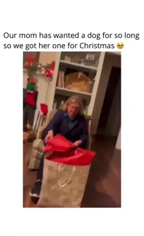 Upvoting everyone in the next 5 hours. Comment “UP” and I’ll upvote you back