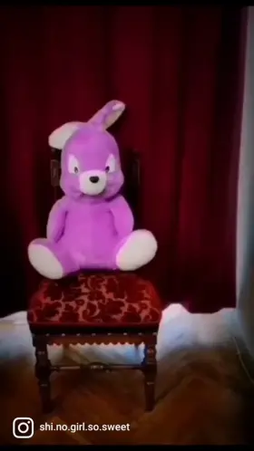 Not a cute little bunny