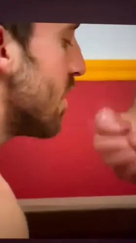 Serving superior bull cock