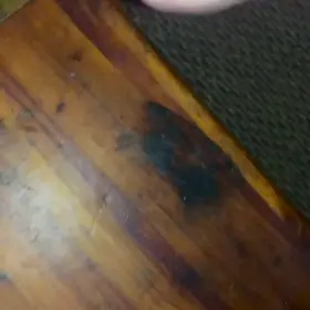 Should i lick it all up? [OC]