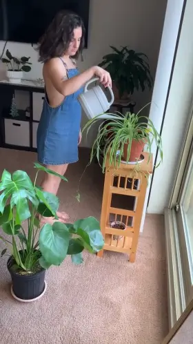 a finger snap means my plants will have to wait💦