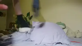 I start humping when I get desperate 🥵