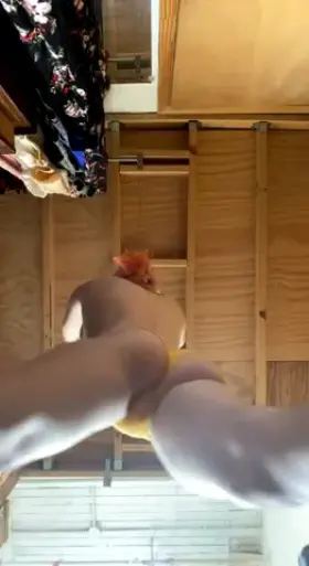 my little booty looks so cute from underneath