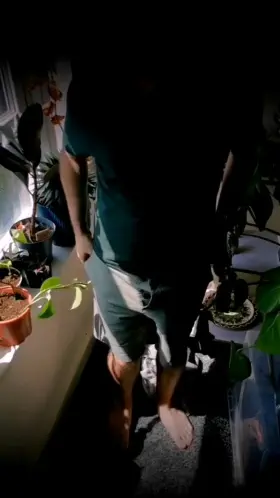 Enjoying playing by the window