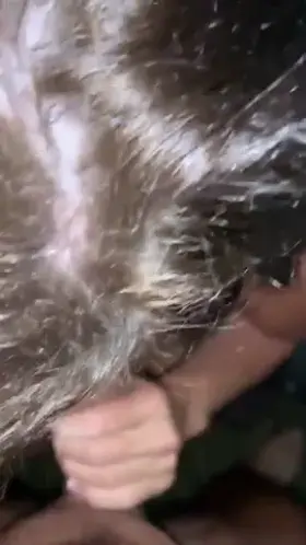 IMG 5631 Porn GIF by cement2296