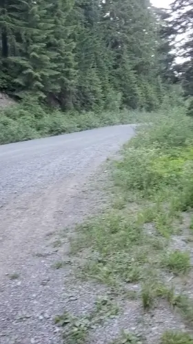 What a lovely viewpoint for Mount Rainier!😉😈