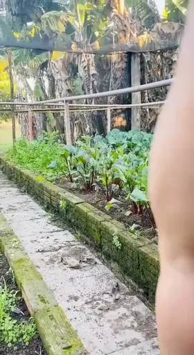 Just taking care of my planting