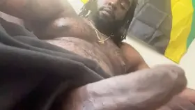 Do you like Jamaicans?