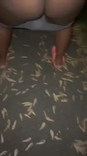 Strong stream right on the sidewalk [sound in redgifs]