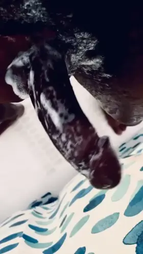 IN VEGAS TILL THE 19th ! 😈💦